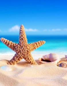 迷人的夏日海上美景手机壁纸