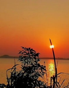 日出朝霞迷人风光手机壁纸