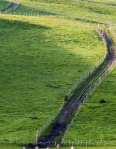 会带来好运的唯美图片，绿色的草原牧场风景图片