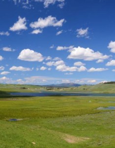 清新绿色风景意境图片，绿色辽阔的草原风景图片