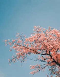 能带来好运的风景意境图片，祝大家事事顺顺天天好运来