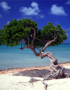 吉利风景意境图片，绝美的风景头像既招财又招运的