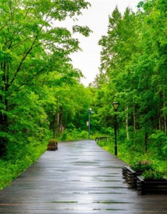 好看风景意境图片，吉林白山高清风景图片
