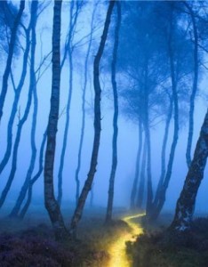 微信好看的意境风景，好好看看这些美景吧