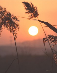 日出招财意境图片转运，美丽的日出日落风景图片