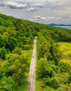 绿油油的农田风景意境图片，无人机航拍的农田图片