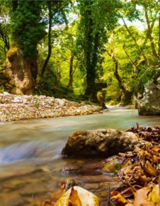 最好看的意境图片景色，一道风景如画的小溪瀑布