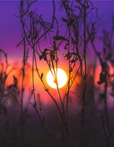 唯美风景意境图片，美丽的日出日落风景图片