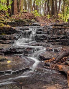 最美风景唯美意境图片，森林小溪山间流水图片