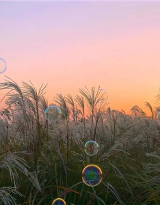 超级不错的ins背景图很赞 顶级审美超棒的素材