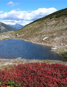 景色迷人的湖泊图片，清晰风景图片
