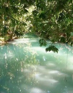 超级漂亮美的让人窒息，高清唯美绿色风景意境图片