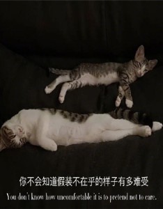 什么都不如意的图片配图 回过头看看全都是笑话