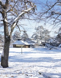 最靓丽的风景意境图片，日本长野县自然风景图片