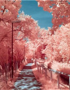 好看唯美图片，漂亮的美的醉人