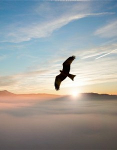 唯美风景意境图片，好看唯美的日出图片