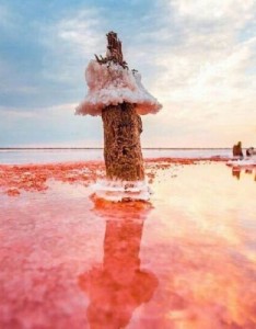 最美的风景意境图片，要小心了风景也醉人