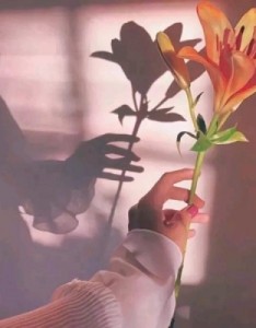 最吉利的风景图片，适合女人的唯美吉利好运图片