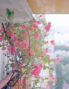 好看又招财的意境图片，最新喜欢就换上吧