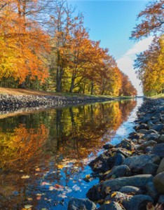 高清风景意境图片，湖泊中的自然风景倒影图片